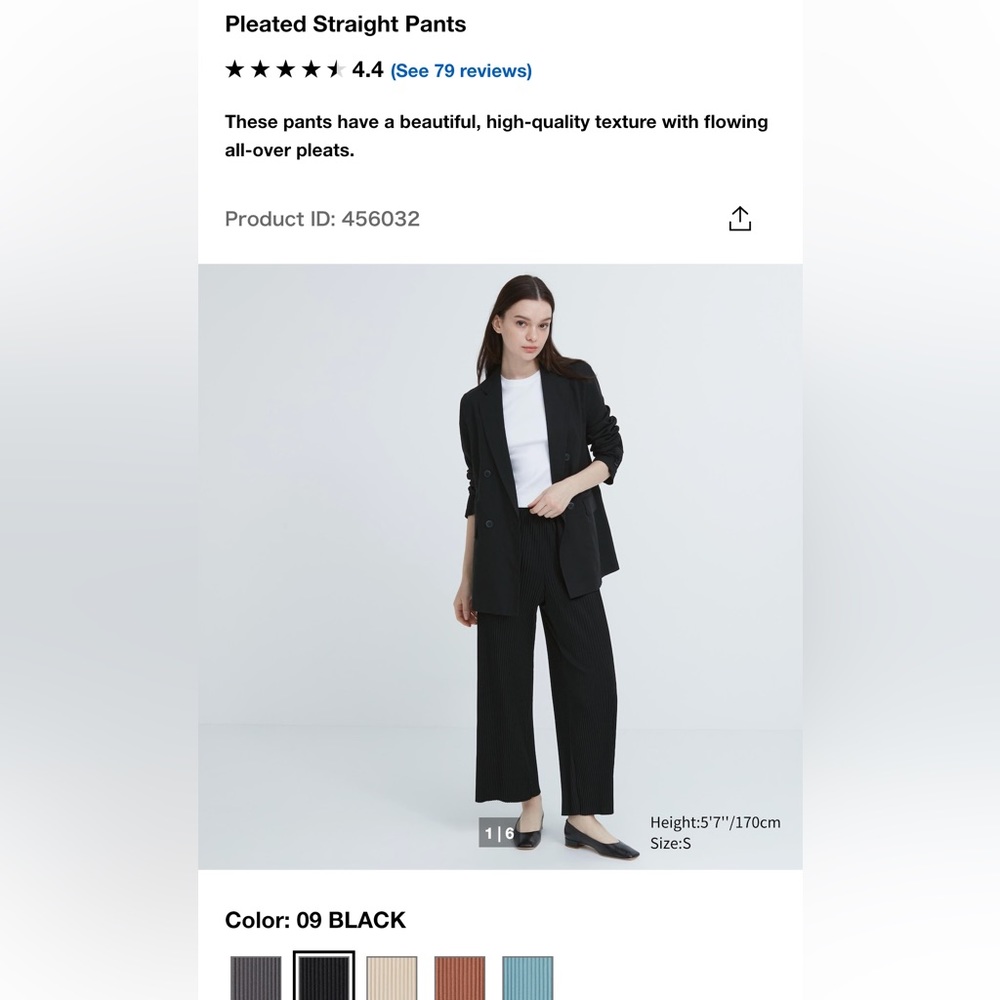 Pleated Straight Pants, New, black